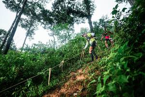 BIB: 
                            <button type="button" onclick="openModal(26201705)" class="btn btn-primary btn-sm float-right btn-popup" data-toggle="modal" data-target=".modal-high-quality">
                        <i class="fas fa-shopping-cart"></i> Add to Cart
                    </button>
                                            <button type="button" onclick="isThisMe(26201705, true)" class="btn btn-success btn-sm float-right btn-popup btn-isme hidden" data-toggle="tooltip" data-placement="bottom" title="นี่คือรูปของคุณใช่ไหม คลิกที่นี่เพื่อเอาเข้าอัลบั้ม">
                        <i class="fas fa-plus"></i> Add to album
                    </button>
                    <button type="button" onclick="isThisMe(26201705, false)" class="btn btn-warning btn-sm float-right btn-popup btn-isnotme hidden">
                        <i class="fas fa-ban"></i> Remove from album
                    </button>